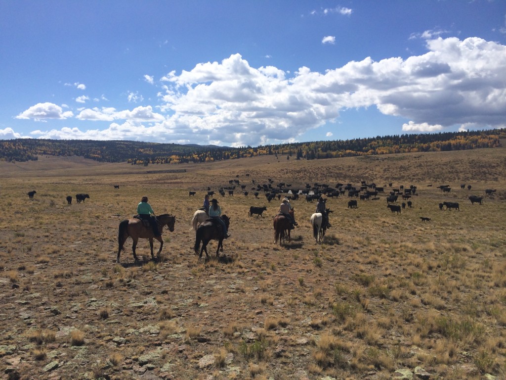 Colorado horseback riding at Rainbow Trout Ranch - Colorado dude ranch ...