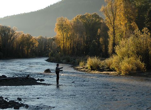 Fly-fishing