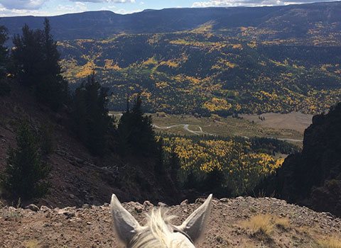 Overlooking the valley on horseback