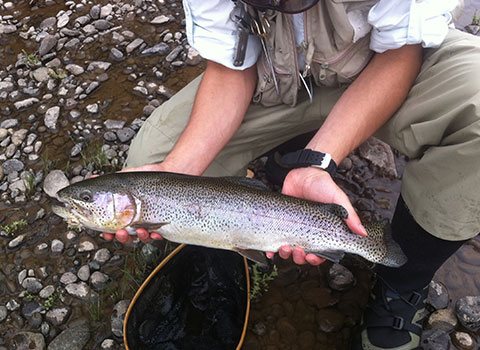 Showing off the catch