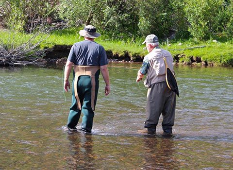 Fly-fishing in the creek