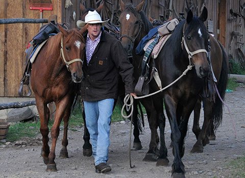 Getting horses ready to ride