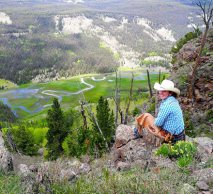 Dog overlooking the valley