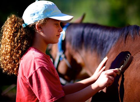 Girl brushing her horse