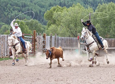 Team Roping