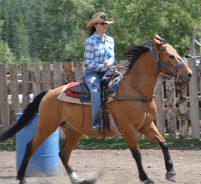 Barrel Racing