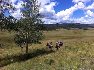 Loping up to Rocky Top