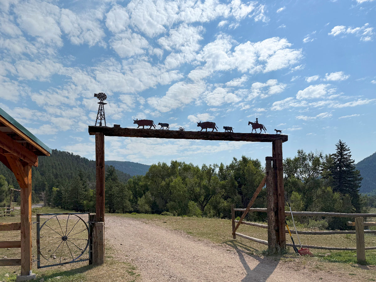 Gate