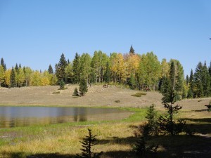 Duck Lake