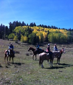 Early fall in the backcountry