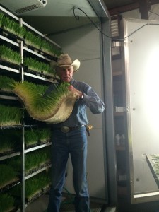 Doug harvests the fodder biscuits at Rainbow Trout Ranch, Colorado dude ranch.