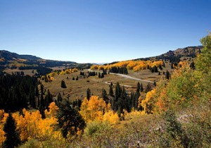 View from the narrow gauge steam train going over the nearby pass about 25 minutes from the ranch.